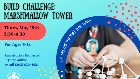 Build Challenge: Marshmallow Tower Flyer