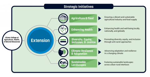 Diagram about UConn Extension strategic initiatives 